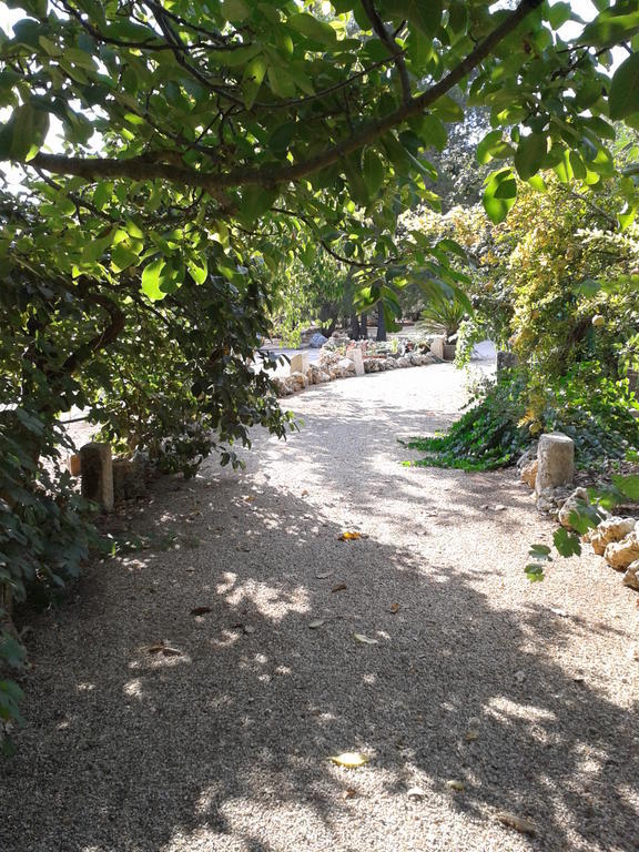 Tenuta La Spezia Carpignano Salentino Dış mekan fotoğraf