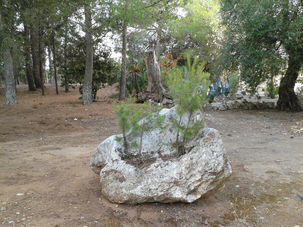 Tenuta La Spezia Carpignano Salentino Dış mekan fotoğraf